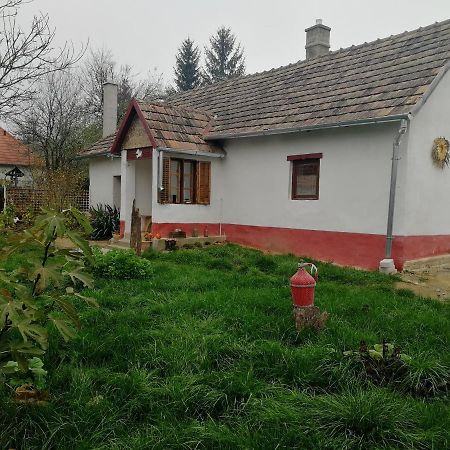Traditionelles Bauernhaus Flieder Zalaszentgrot Exterior photo