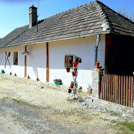 Traditionelles Bauernhaus Flieder Zalaszentgrot Exterior photo
