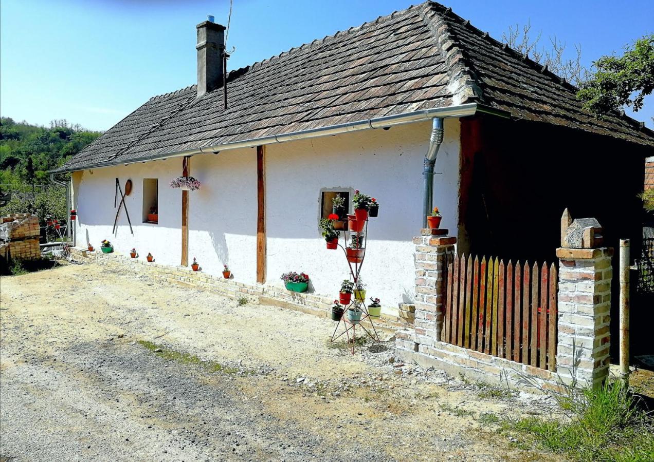 Traditionelles Bauernhaus Flieder Zalaszentgrot Exterior photo